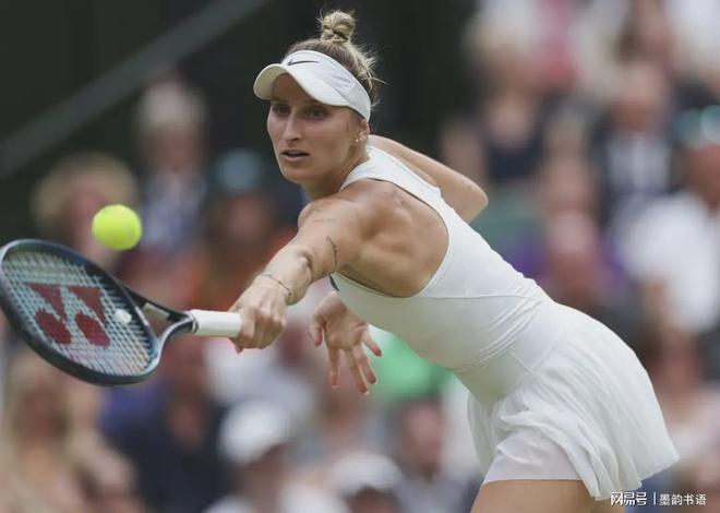 国米的未来 国米的未来