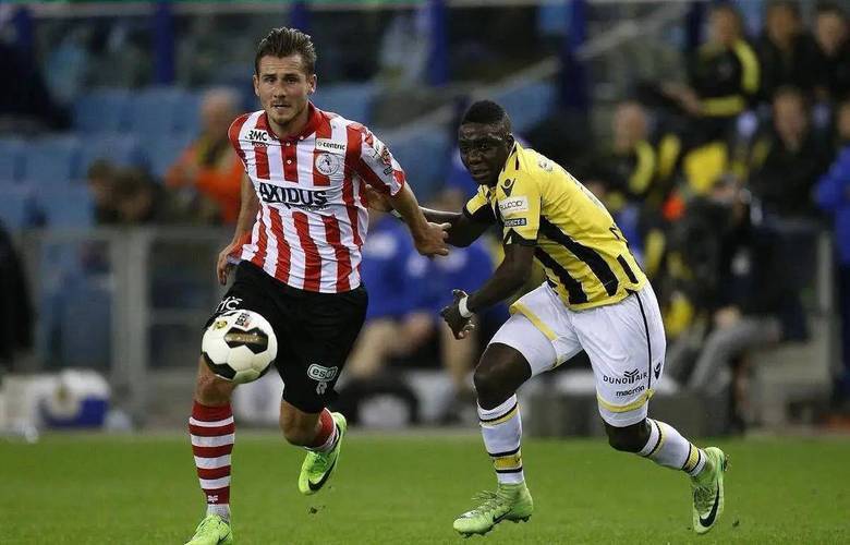 有极其多样 有极其多样